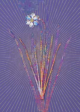 Narcissus Poeticus Mosaic