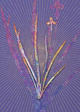 Iris Martinicensis Mosaic
