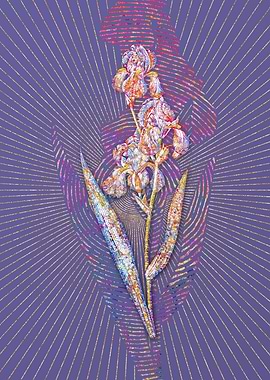 Dalmatian Iris Mosaic