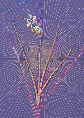 Narcissus Odorus Mosaic