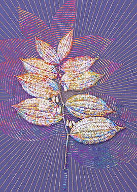 King Solomons Seal Mosaic