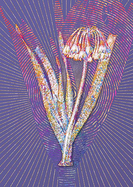 Knysna Lily Mosaic Flower