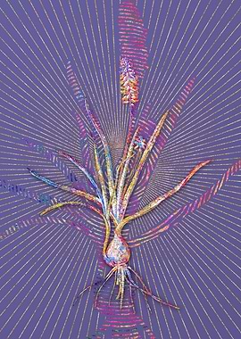 Muscari Ambrosiacum Mosaic