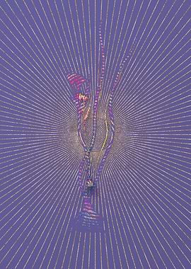 Ornithogalum Spathaceum