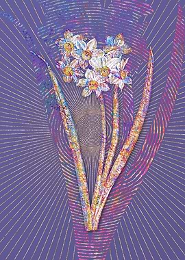 Narcissus Easter Flower