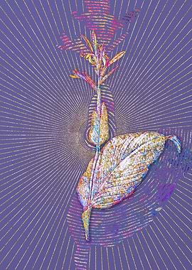 Indian Shot Mosaic Floral