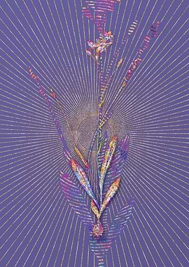 Gladiolus Junceus Mosaic