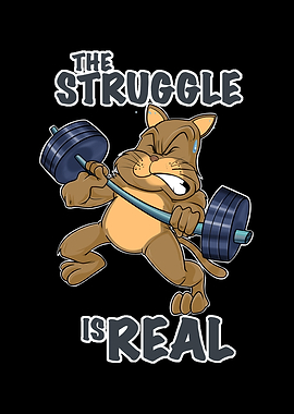 Cat Fitness Struggle
