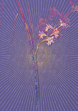 Gladiolus Ringens Mosaic