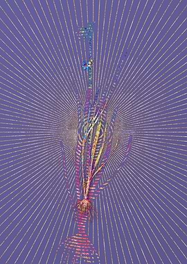 Narrow Blue Eyed Grass