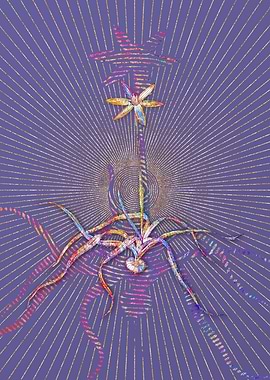 Hypoxis Stellata Mosaic