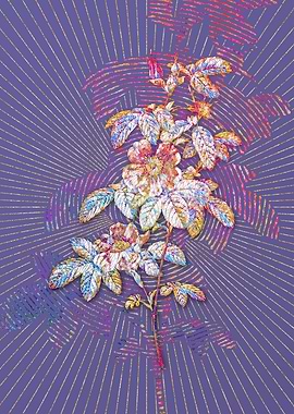 May Rose Mosaic Floral