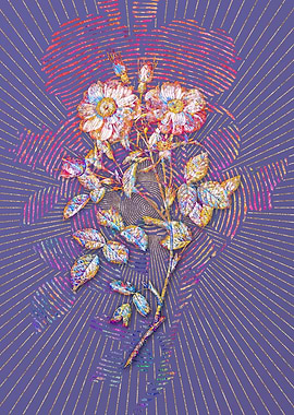 Elizabeth Sweetbriar Rose