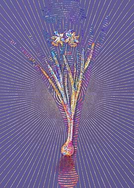 Lesser Wild Daffodil