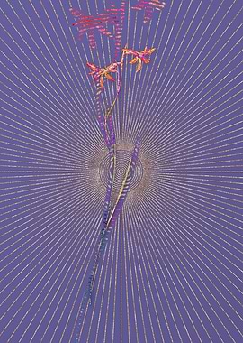 Gladiolus Watsonius Mosaic