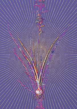 Hyacinthus Viridis Mosaic