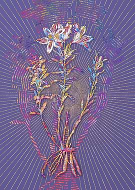 Lily of the Incas Mosaic