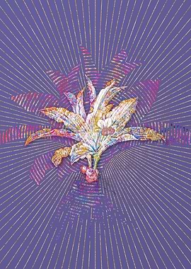 Kaempferia Angustifolia