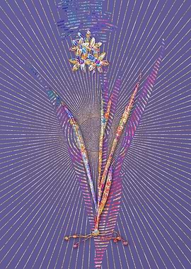 Ixia Fusco Citrina Mosaic