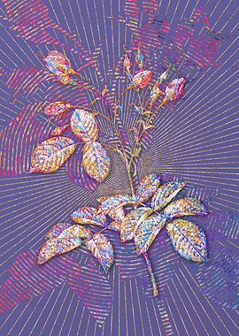 Evrats Rose Mosaic Floral