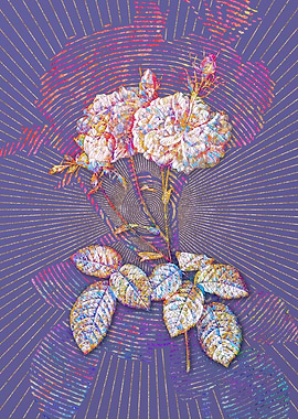 Damask Rose Mosaic Floral