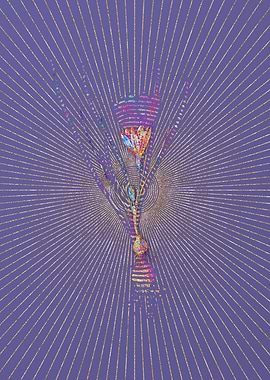 Ixia Filifolia Mosaic