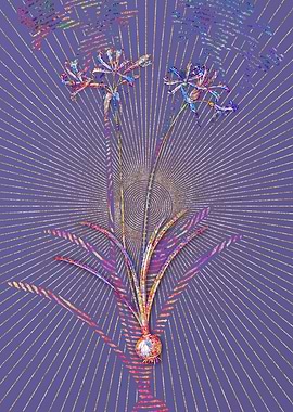 Nerine Mosaic Botanical