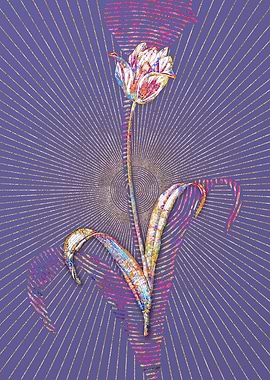 Didiers Tulip Mosaic 1