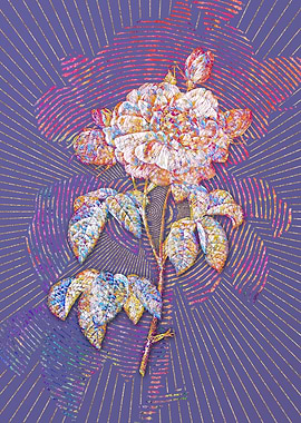 Duchess of Orleans Mosaic