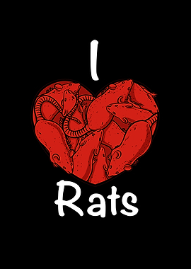 I love rats quote for rats