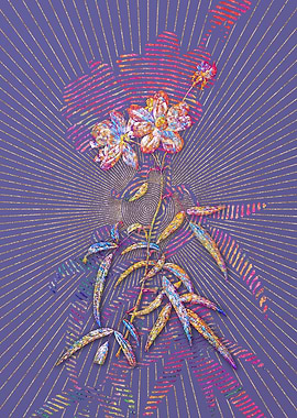 Peach Leaved Rose Mosaic