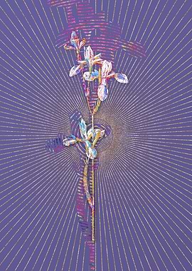 Siberian Iris 2 Mosaic