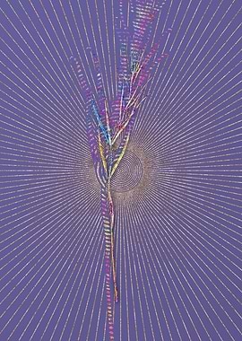 Siberian Solomons Seal