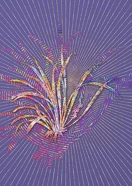 Sansevieria Carnea Mosaic