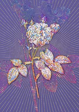 Pink Agatha Rose 2 Mosaic