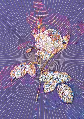 Pink Cabbage Rose Mosaic