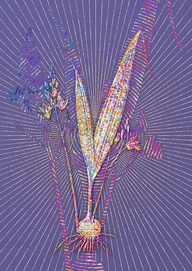 Pine Pink Mosaic Botanical