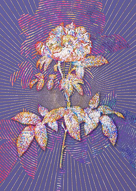 Provins Rose Mosaic Floral