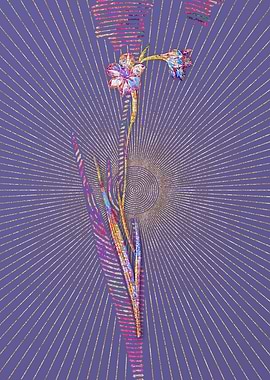 Sword Lily Mosaic Flower