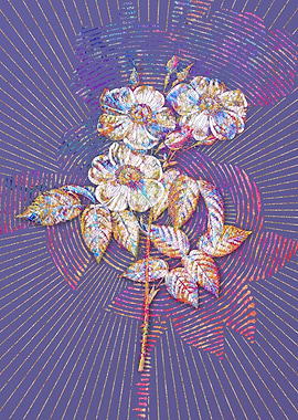 Rose of Castile Mosaic