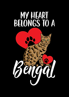 Bengal Cat
