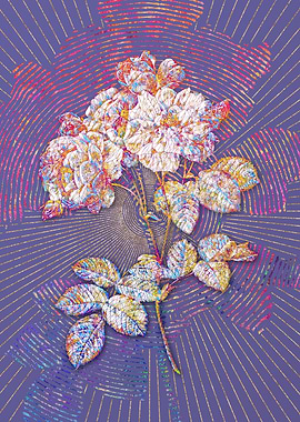 Pink Damask Rose Mosaic