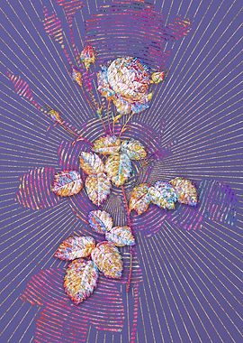 Provence Rose Mosaic