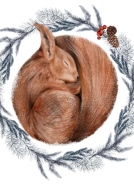 Sleeping Squirrel