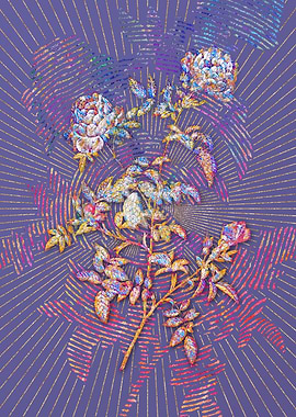 Rose of the Hedges Mosaic