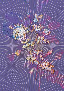 Silver Flower Hispid Rose