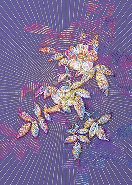 Pink Boursault Rose Mosaic