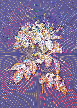 Pasture Rose Mosaic Floral