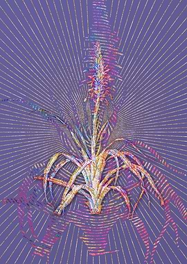 Pina Cortadora Mosaic