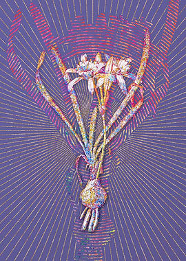 Sea Daffodil Mosaic Flower